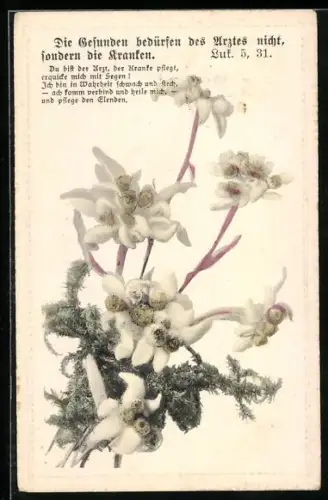 AK Sinnspruch Die Gesunden bedürfen des Arztes nicht, sondern die Kranken, mit Blumen