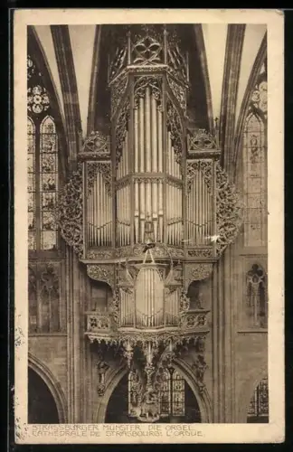 AK Strassburg, Die Orgel im Münster