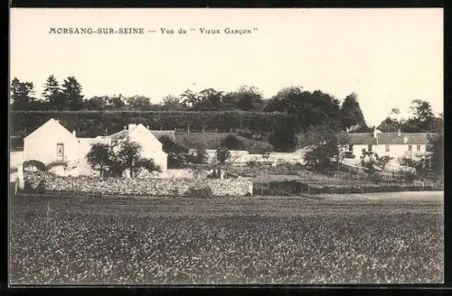 AK Morsang-sur-Seine, Vue du Vieux Garcon