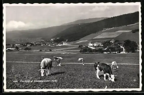 AK Villiers, Ortsansicht mit Blick nach Dombresson, Kühe auf der Weide