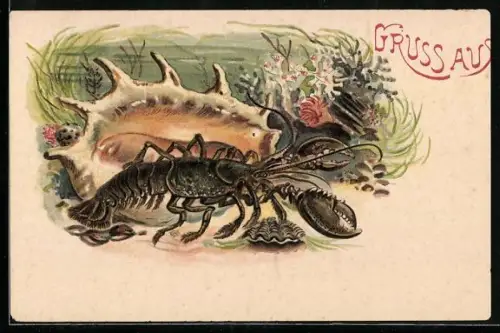 AK Kleiner Krebs an einer Muschel