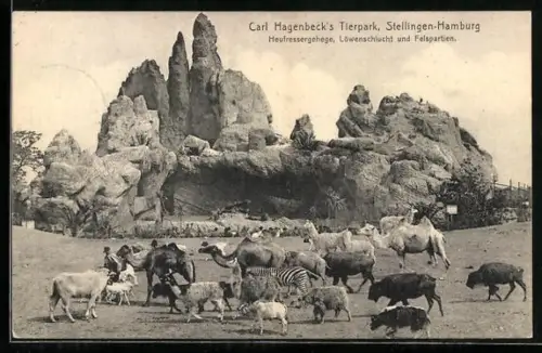 AK Hamburg-Stellingen, Carl Hagenbecks Tierpark, Heufressergehege, Löwenschlucht & Felspartien