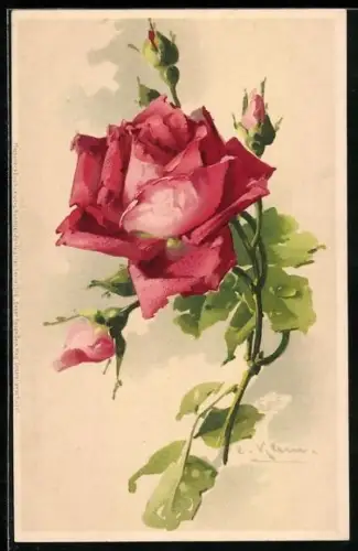 Künstler-AK Catharina Klein: Rote Rosenblüten und Knospen mit grünen Blättern