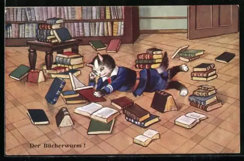 AK Katze in tiefblauer Kleidung liegt auf dem Boden zwischen einer Unmenge an Büchern