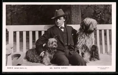 AK Schauspieler Martin Harvey mit zwei Hunden auf einer Bank