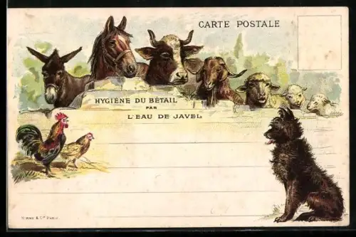 Künstler-AK Hygiène du Bétail par L`Eau de Javel, Tierschutz
