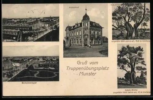 AK Munster (Lager), Kaiserhof, Gesamtansicht, Alte Eichen