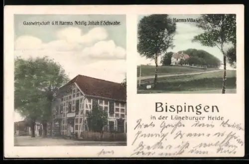 AK Bispingen /Lüneburger Heide, Gasthaus G. H. Harms und Harms Villa