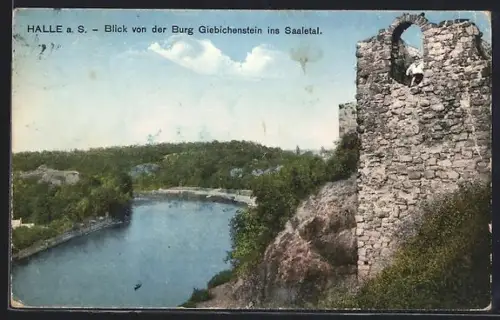 AK Halle a. S., Blick von der Burg Giebichenstein ins Saaletal