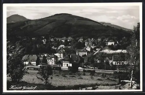 AK Jonsdorf, Bahnhof, Gemeindeamt, Kurhaus, Ortsansicht