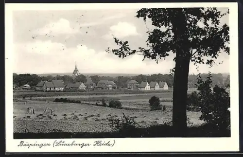 AK Bispingen /Lüneburger Heide, Ortsansicht mit Umgebung
