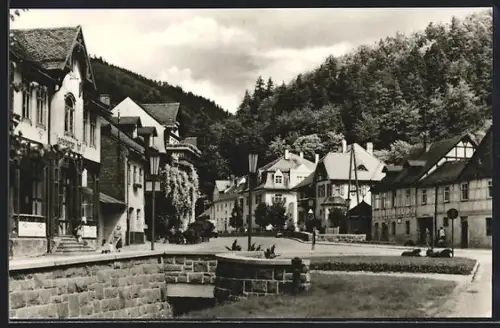 AK Leutenberg /Thür., Hauptstrasse, Panorama
