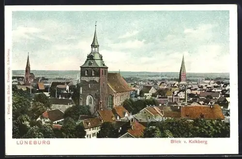 AK Lüneburg, Blick vom Kalkberg auf Stadt und Kirchen