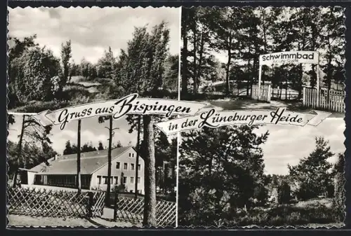AK Bispingen /Lüneburger Heide, Schwimmbad, Landschaftsansichten, Gebäude