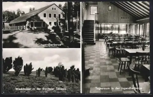 AK Bispingen, Jugendherberge, Tagesraum, Wachholder in der Borsteler Schweiz