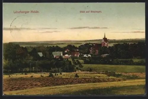 AK Bispingen /Lüneburger Heide, Ortsansicht mit Umgebung aus der Vogelschau