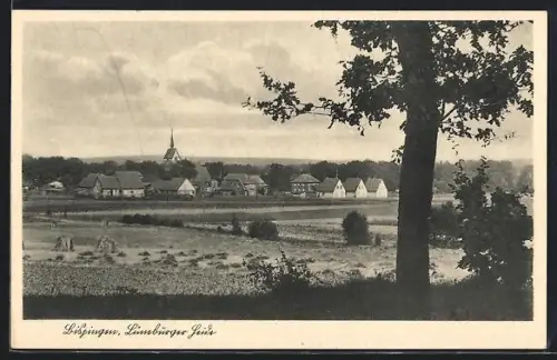 AK Bispingen /Lüneburger Heide, Ortsansicht mit Kirche