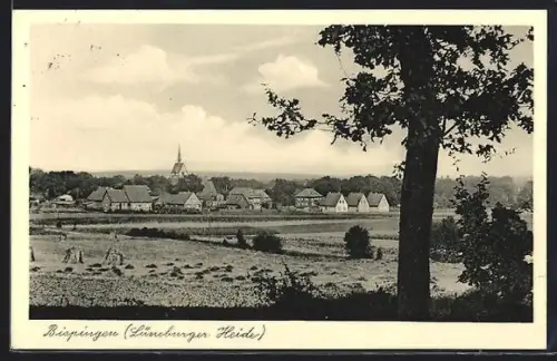 AK Bispingen /Lüneburger Heide, Ortsansicht mit Feldern
