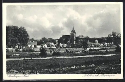 AK Bispingen /Lüneburger Heide, Ortspanorama mit Kirche