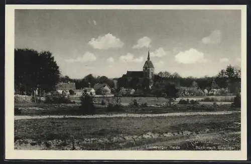 AK Bispingen /Lüneburger Heide, Blick auf Kirche und Dorf