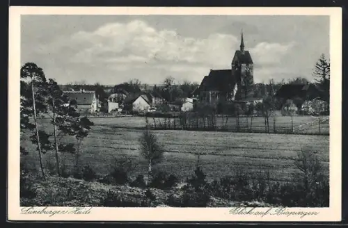 AK Bispingen /Lüneburger Heide, Blick auf den Ort