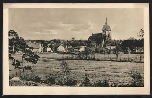 AK Bispingen /Lüneburger Heide, Ortsansicht mit Feldern aus der Vogelschau