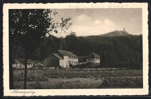 AK Mariaspring, Hotel und Pension Mariaspring, Inh. E. Cillien