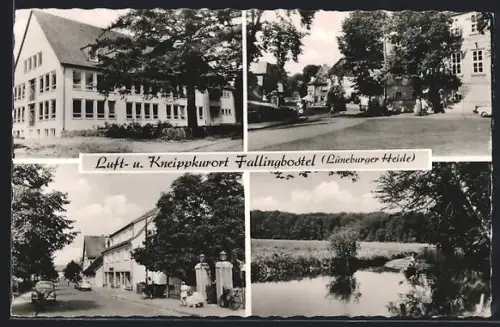 AK Fallingbostel /Lüneburger Heide, Strassenpartien und Flussufer