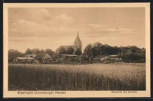 AK Bispingen /Lüneburger Heide, Dorfbild mit Kirche