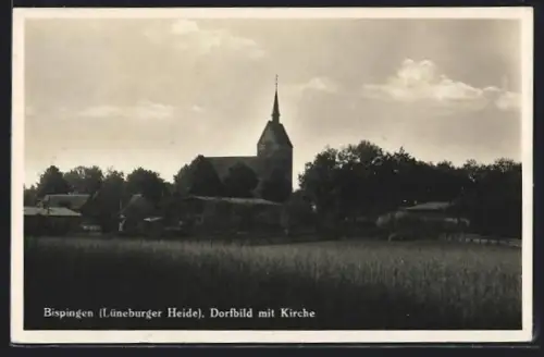 AK Bispingen /Lüneburger Heide, Dorfbild mit Kirche