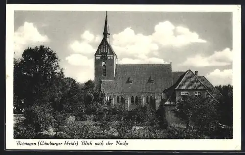 AK Bispingen /Lüneburger Heide, Blick nach der Kirche