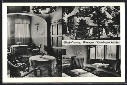 AK Bispingen /Lüneburger Heide, Gasthaus Wacholderhof, Innenansicht