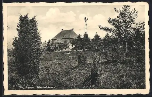 AK Bispingen /Lüneburger Heide, Pension Wacholderhof