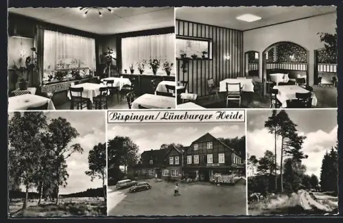 AK Bispingen /Lüneburger Heide, Schwabe`s Gasthaus, Innenansicht