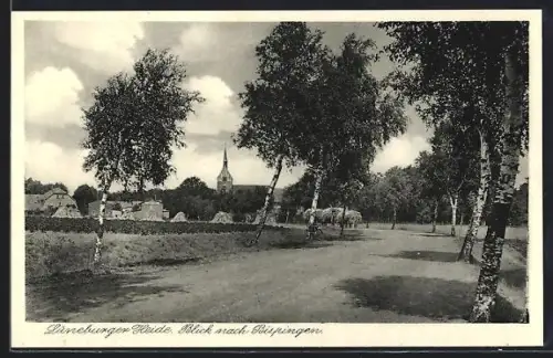 AK Bispingen /Lüneburger Heide, Ortsansicht mit Kirche