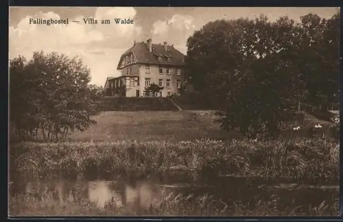 AK Fallingbostel, Villa am Walde