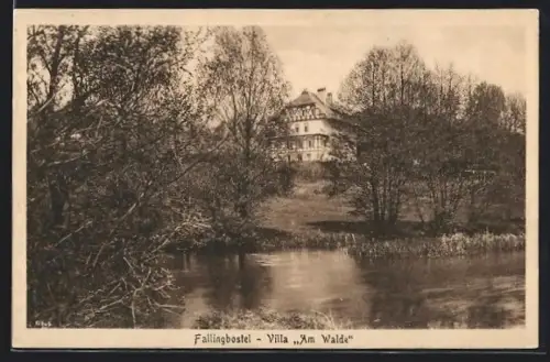 AK Fallingbostel, Villa Am Walde
