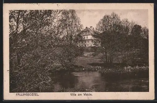 AK Fallingbostel, Villa am Walde