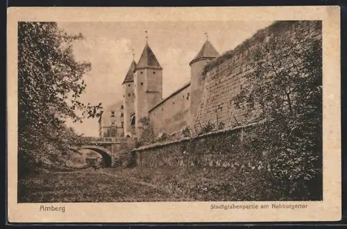 AK Amberg, Stadtgrabenpartie am Nabburger Tor