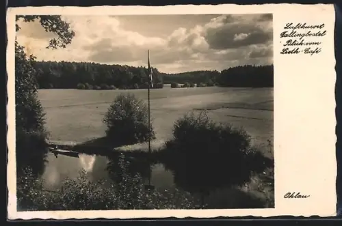 AK Fallingbostel, Blick vom Lieth Café