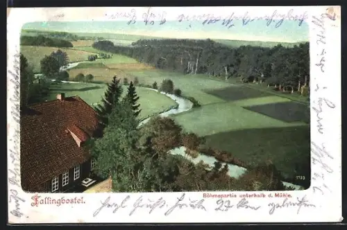 AK Fallingbostel, Böhmepartie unterhalb der Mühle