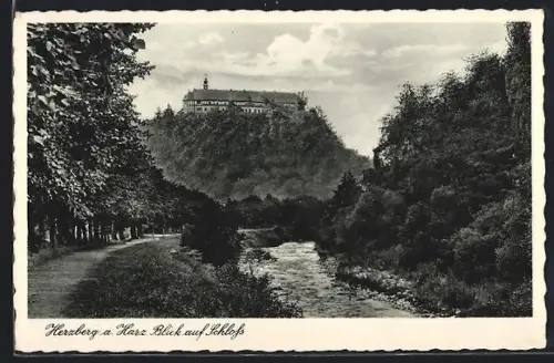 AK Herzberg a. Harz, Blick auf Schloss