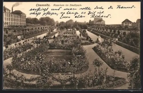 AK Chemnitz, Rosarium im Stadtpark