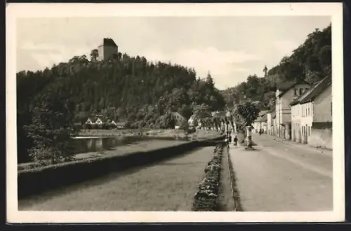 AK Ziegenrück a. d. Saale, Dr. Reipromenade