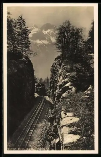 AK Die Brünigbahn auf der Passhöhe