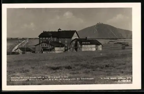 AK Riesengebirge, Wiesenbaude mit der Schneekoppe, Lucní bouda v pozadí Snezka