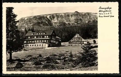 AK Schlingelbaude und Prinz-Heinrich-Baude