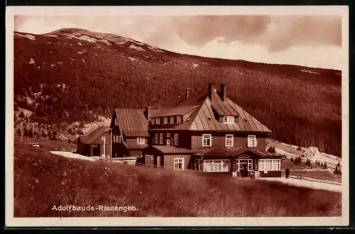 AK Adolfbaude /Riesengebirge, Blick zur Baude am Wald
