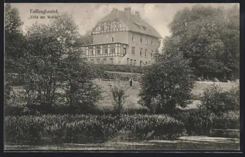 AK Fallingbostel, Villa am Walde