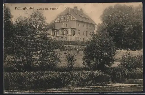 AK Fallingbostel, Villa am Walde